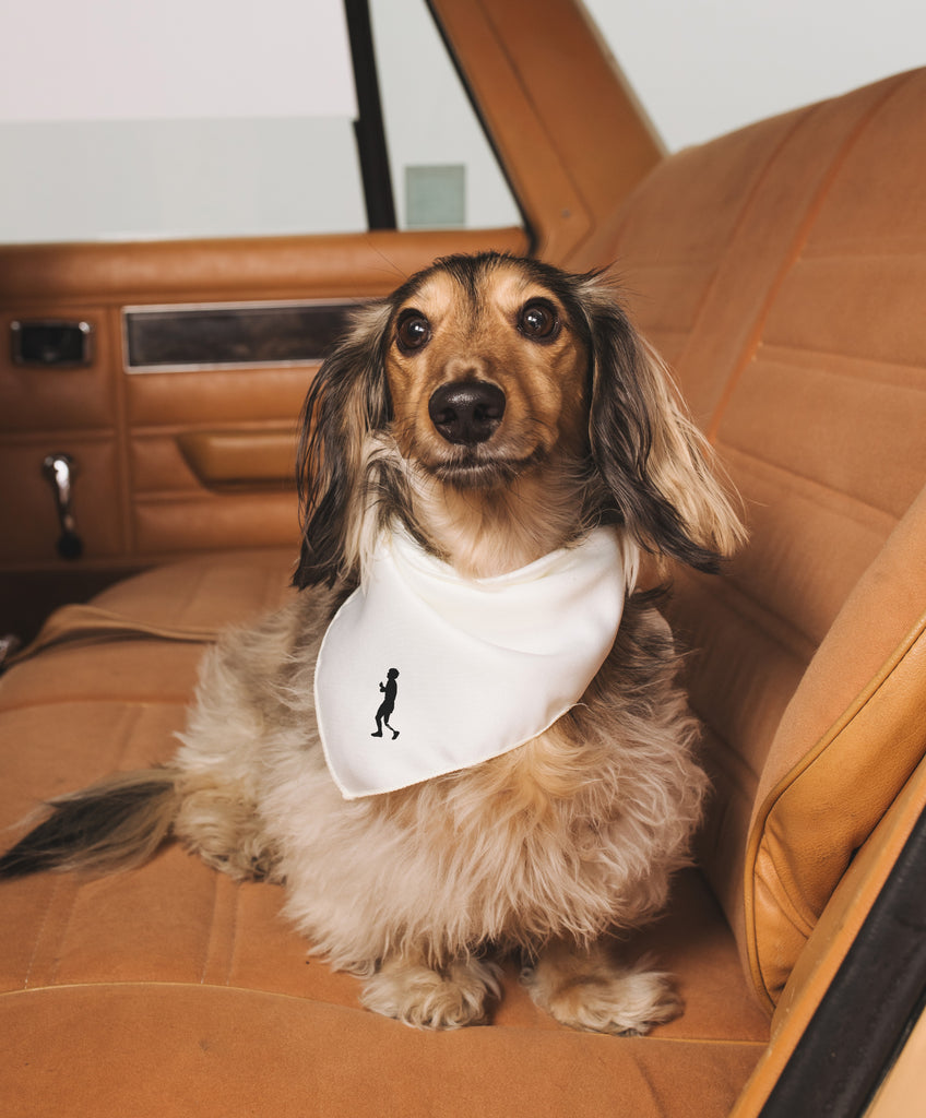 Terry Fox Dog Bandana | Official Terry Fox Merchandise – Terry Fox ...